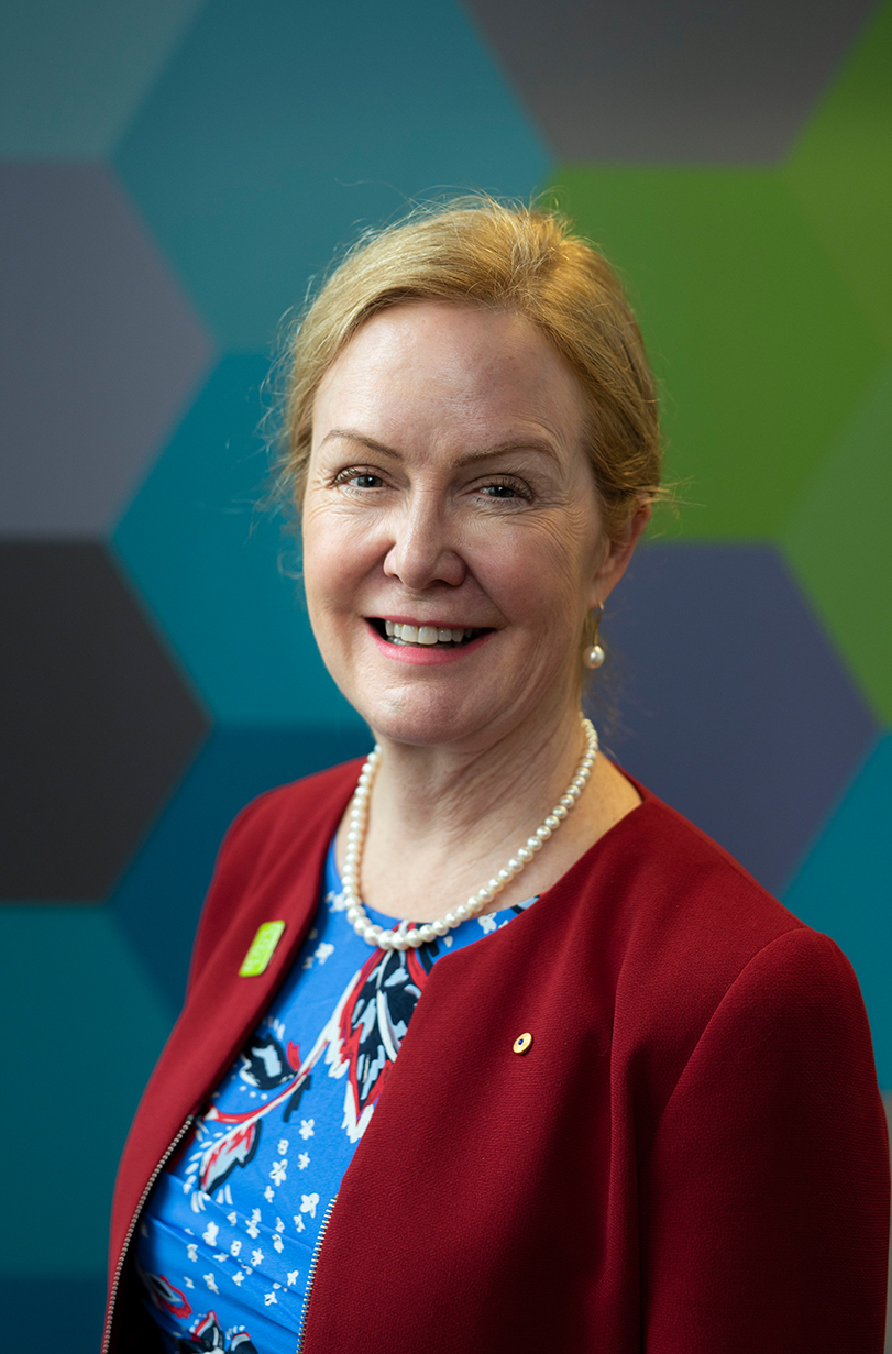 Lisa Paul, Board Chair